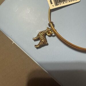 Alex and Ani Llama Bracelet